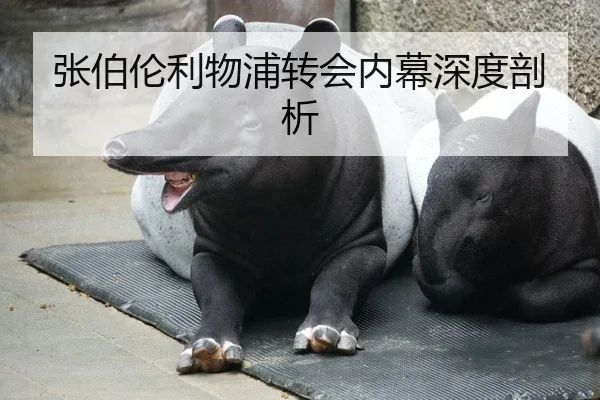 张伯伦利物浦转会内幕深度剖析